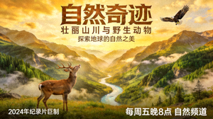 自然奇迹纪录片海报：壮丽山川与野生动物